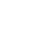 Sustainable Roots - Logo